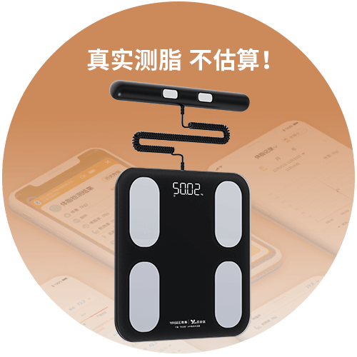八电极体脂称详情