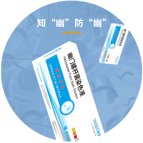 幽门螺杆菌染色液