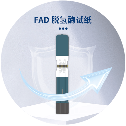 203B-详情图-4