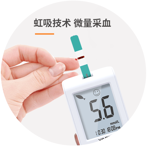 305血糖详情图