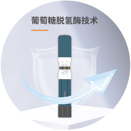 305血糖详情图