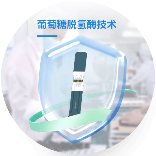 307血糖详情图